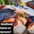 Is Seafood Halal or Haram?