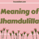 Alhamdulillah Meaning
